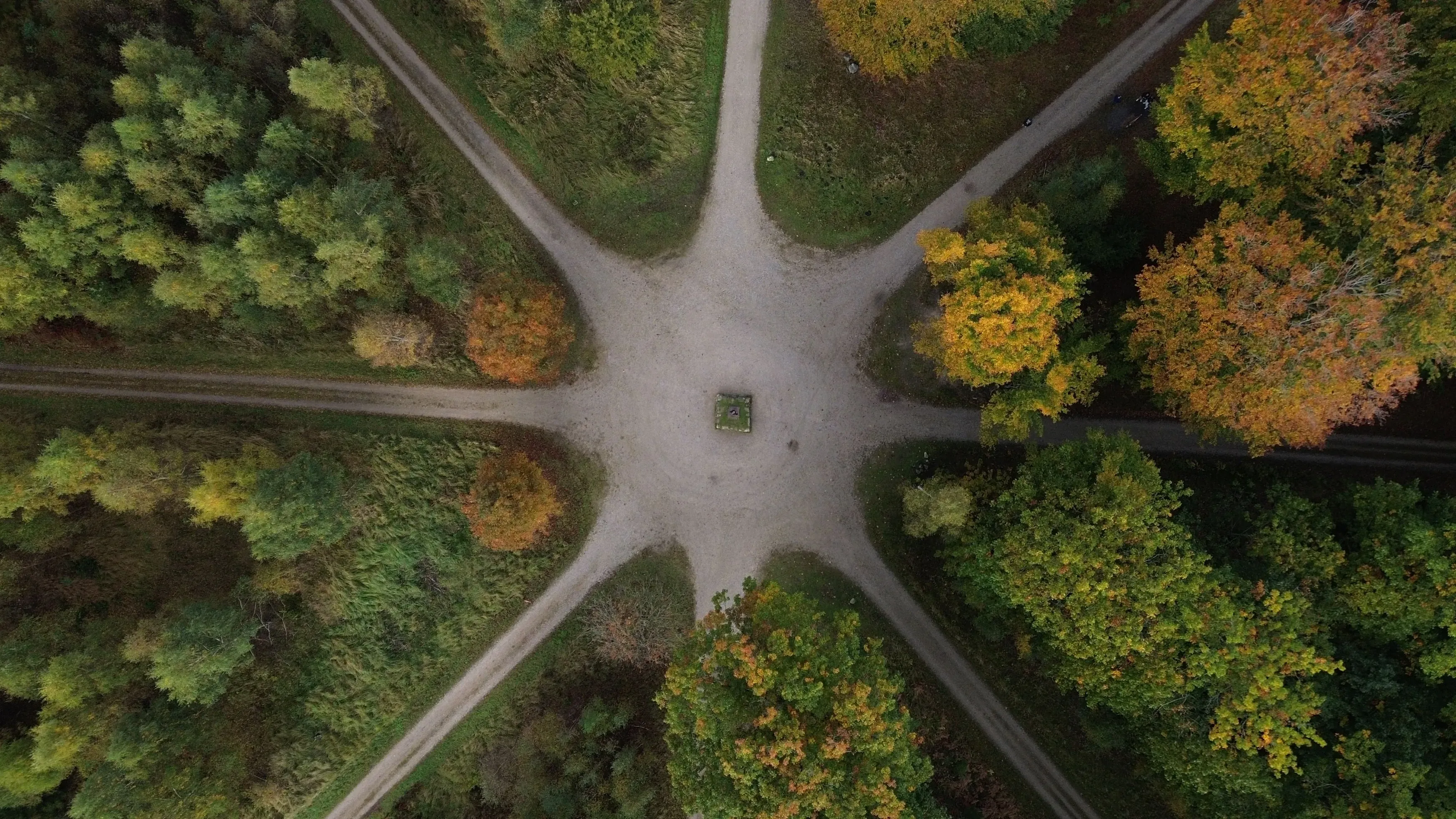 An aerial view of forest paths meeting at a clearing.